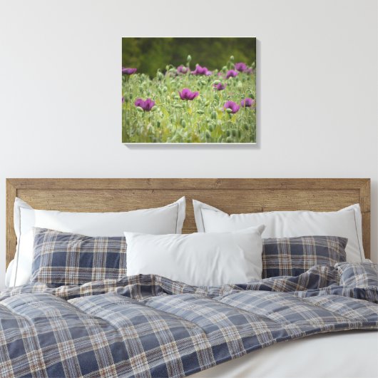 Paarse papavers in Blooming Meadow Canvas Afdruk (Insitu (Slaapkamer))