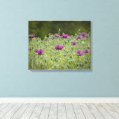 Paarse papavers in Blooming Meadow Canvas Afdruk (Insitu (Houten vloer))