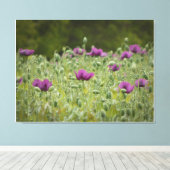 Paarse papavers in Blooming Meadow Canvas Afdruk (Insitu (Houten vloer))