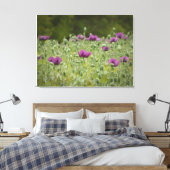 Paarse papavers in Blooming Meadow Canvas Afdruk (Insitu (Slaapkamer))