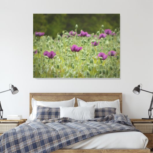Paarse papavers in Blooming Meadow Canvas Afdruk (Insitu (Slaapkamer))