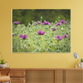 Paarse papavers in Blooming Meadow Canvas Afdruk (Insitu (Woonkamer))