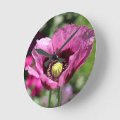 Paarse papaverwandklok ronde klok (Hoek)