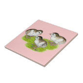Paarse Parelhoenkuikens Tegeltje (Zijkant)