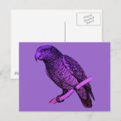 Paarse Parrot Briefkaart (Voorkant / Achterkant)