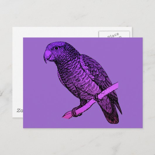 Paarse Parrot Briefkaart (Voorkant / Achterkant)