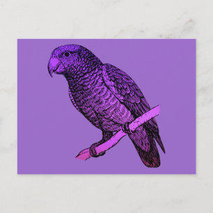 Paarse Parrot Briefkaart