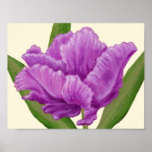 Paarse Parrot Tulip-kunstdrukken. Poster (Voorkant)