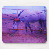 Paarse particuliere-eigendomspaarden muismat (Voorkant)