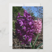 Paarse Pasgeborene Uitnodigingen (Voorkant)