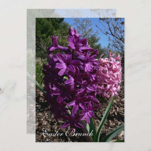 Paarse Pasgeborene Uitnodigingen (Voorkant / Achterkant)