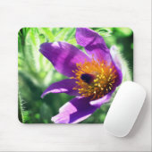 Paarse Pasque Flower Muismat (Met muis)