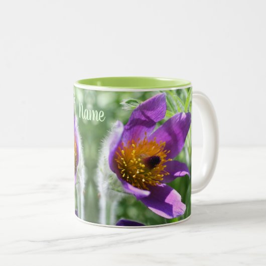 Paarse Pasque Flower Personalized Tweekleurige Koffiemok (Voorkant rechts)