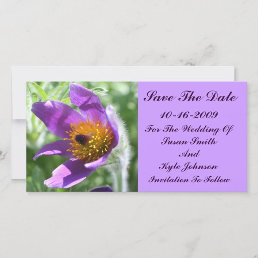 Paarse Pasque Flower Wedding Bewaar de datum Save The Date (Voorkant)