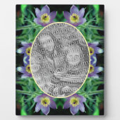 Paarse Pasque Flowers Creëer Uw eigen foto Fotoplaat (Voorkant)