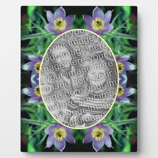 Paarse Pasque Flowers Creëer Uw eigen foto Fotoplaat (Voorkant)