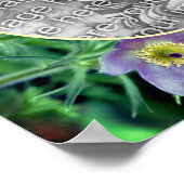 Paarse Pasque Flowers Lijst Creëer Uw eigen foto Poster (Hoek)