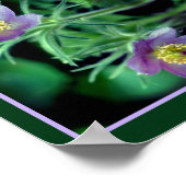 Paarse Pasque Spring Flowers Abstract Poster (Hoek)