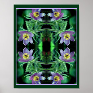 Paarse Pasque Spring Flowers Abstract Poster