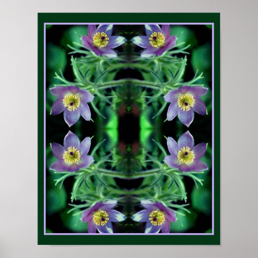 Paarse Pasque Spring Flowers Abstract Poster (Voorkant)