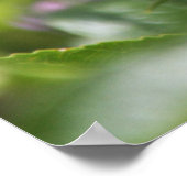 Paarse Passie Bloem Natuur Poster (Hoek)