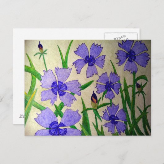 Paarse Passie Briefkaart (Voorkant / Achterkant)