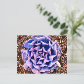 Paarse Passie Briefkaart (Staand voorkant)