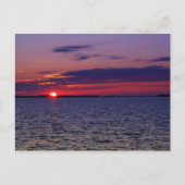 Paarse Passie Briefkaart (Voorkant)