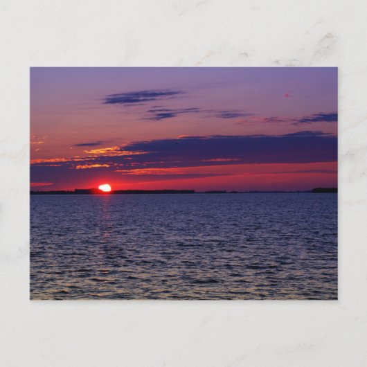 Paarse Passie Briefkaart (Voorkant)