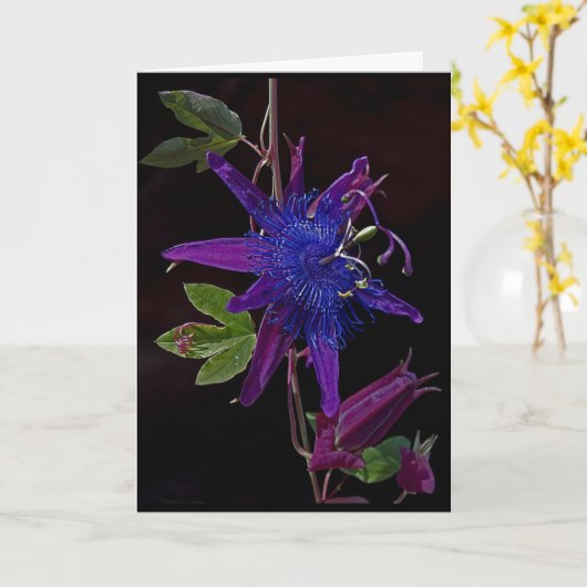 Paarse Passie Kaart (Gele Bloem)