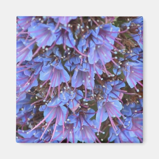 Paarse Passie Magneet (Voorkant)