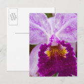 Paarse Passie Orchidee Briefkaart (Voorkant / Achterkant)