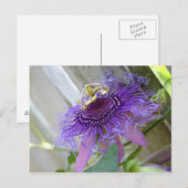 Paarse passie tropische bloem dicht bij elkaar briefkaart (Voorkant / Achterkant)