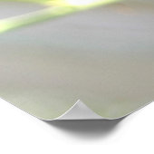 Paarse passie tropische bloem dicht bij elkaar poster (Hoek)