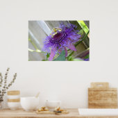 Paarse passie tropische bloem dicht bij elkaar poster (Keuken)