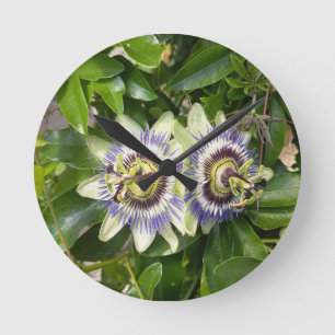 Paarse Passiebloem Wandklok