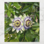 Paarse Passiebloem Wijnfles Etiket (Enkel label)
