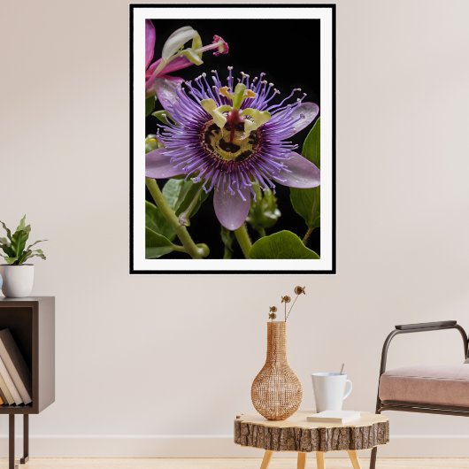 Paarse Passievrucht Bloem, Poster (Woonkamer 3)
