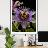 Paarse Passievrucht Bloem, Poster (Thuiskantoor)