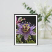 Paarse passievruchtbloem, briefkaart (Staand voorkant)