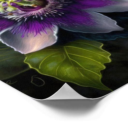 Paarse Passion Flower Art Print Poster (Hoek)