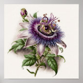 Paarse Passion Flower Art Print Poster (Voorkant)