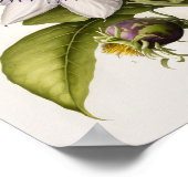 Paarse Passion Flower Art Print Poster (Hoek)