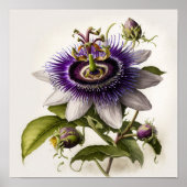 Paarse Passion Flower Art Print Poster (Voorkant)