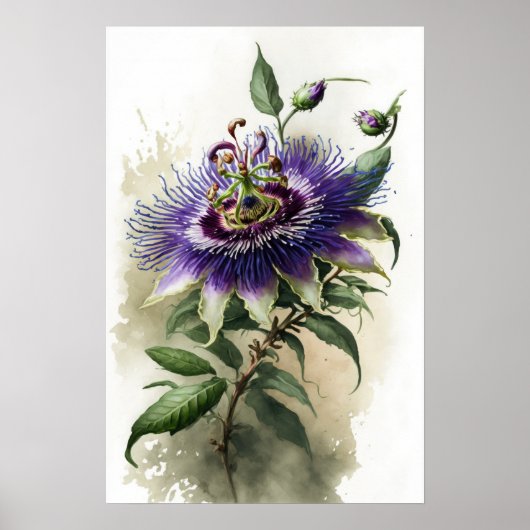 Paarse Passion Flower Art Print Poster (Voorkant)