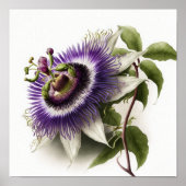 Paarse Passion Flower Art Print Poster (Voorkant)
