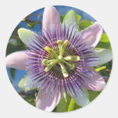Paarse Passion Flower Sticker (Voorkant)