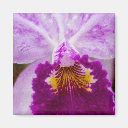 Paarse Passion Orchid Magneet (Voorkant)