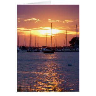 Paarse Passion Sunset