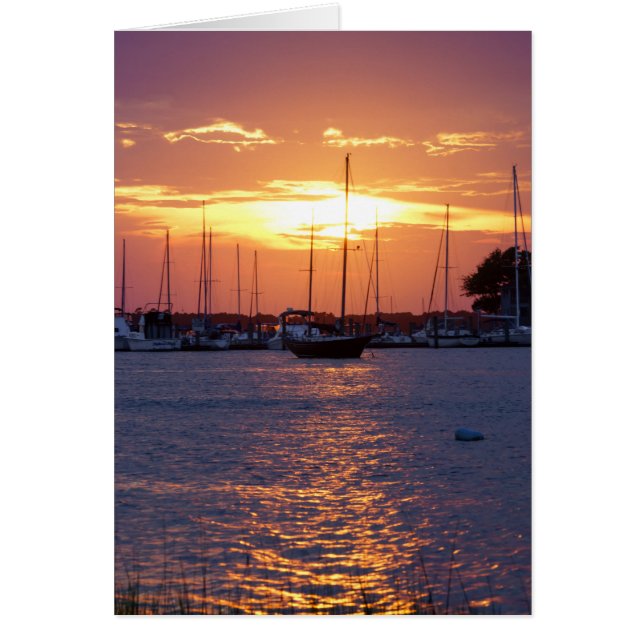 Paarse Passion Sunset (Voorkant)